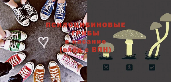 прущая мука Анива
